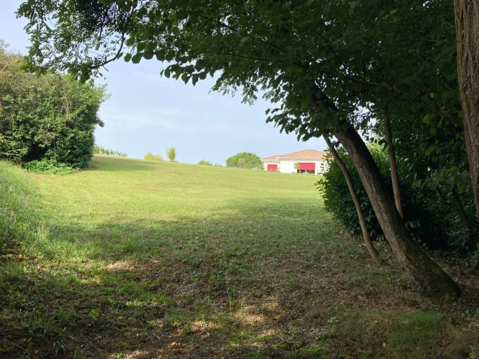 Image_13, Propriete, Montfort-en-Chalosse, ref :3914