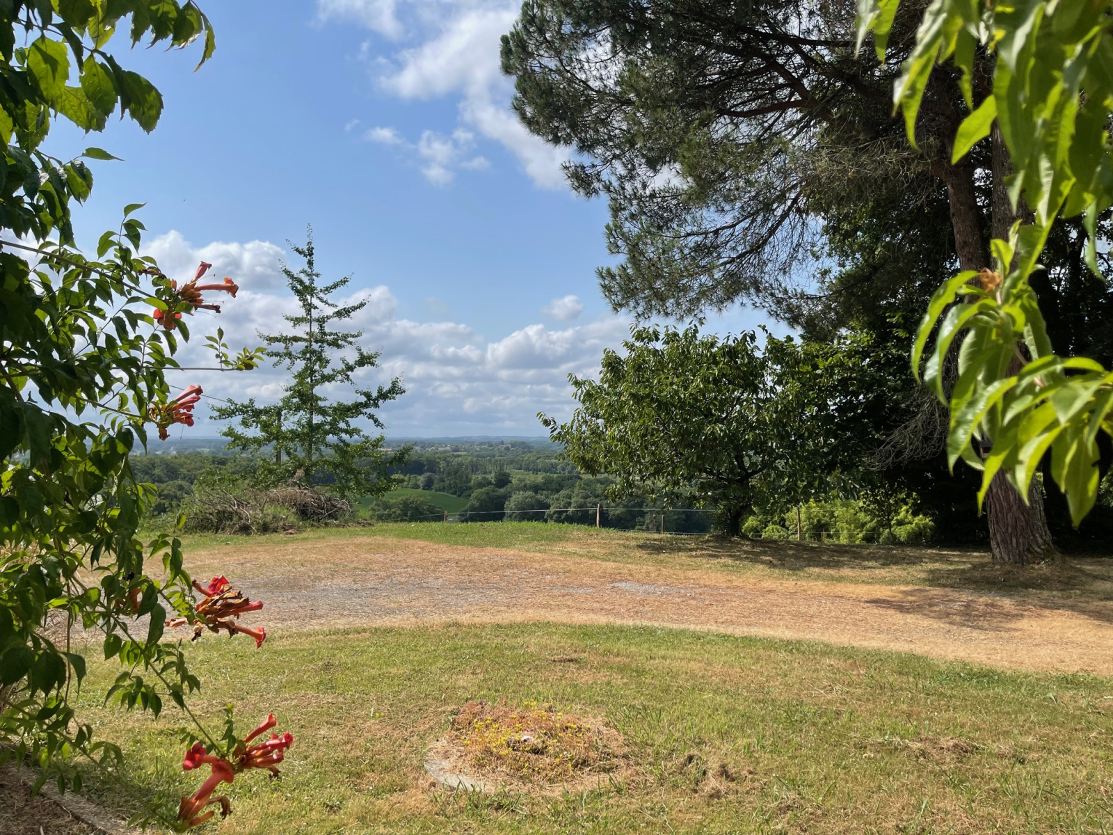 Image_4, Maison, Castelnau-Chalosse, ref :4040