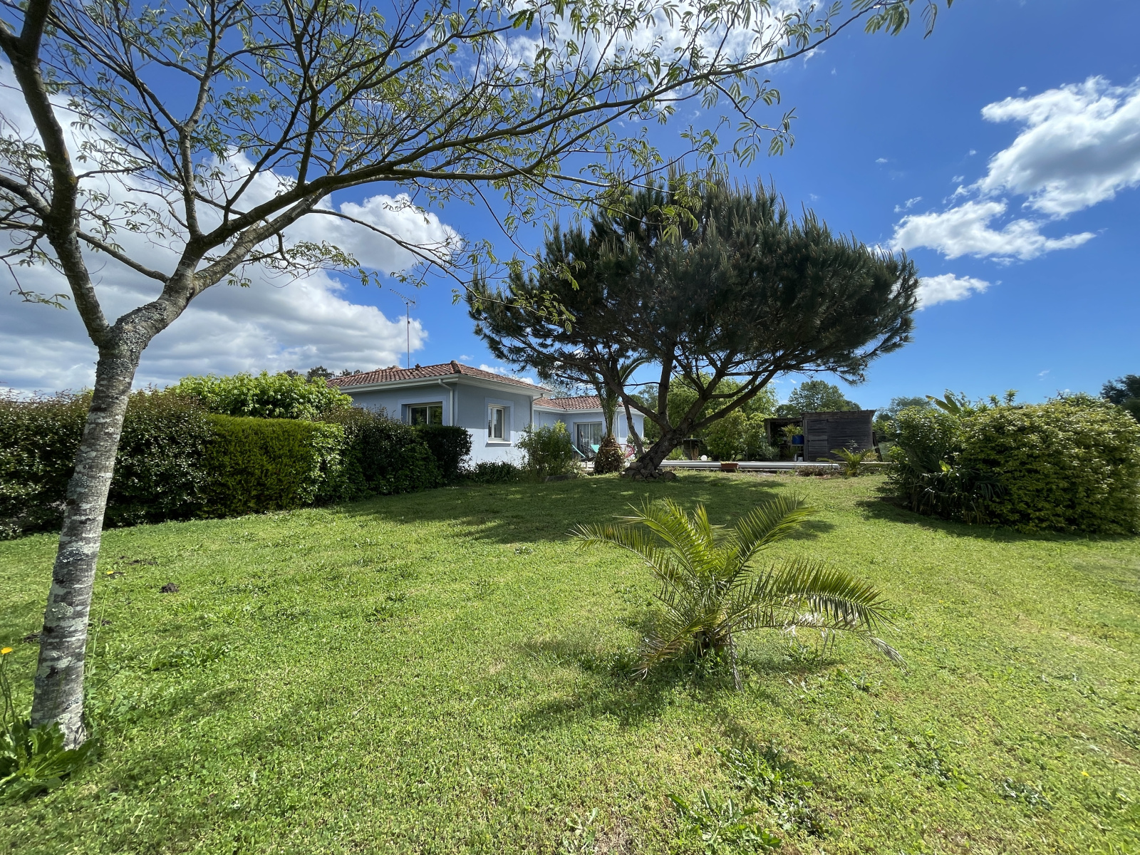 Image_15, Maison, Pontonx-sur-l'Adour, ref :3958