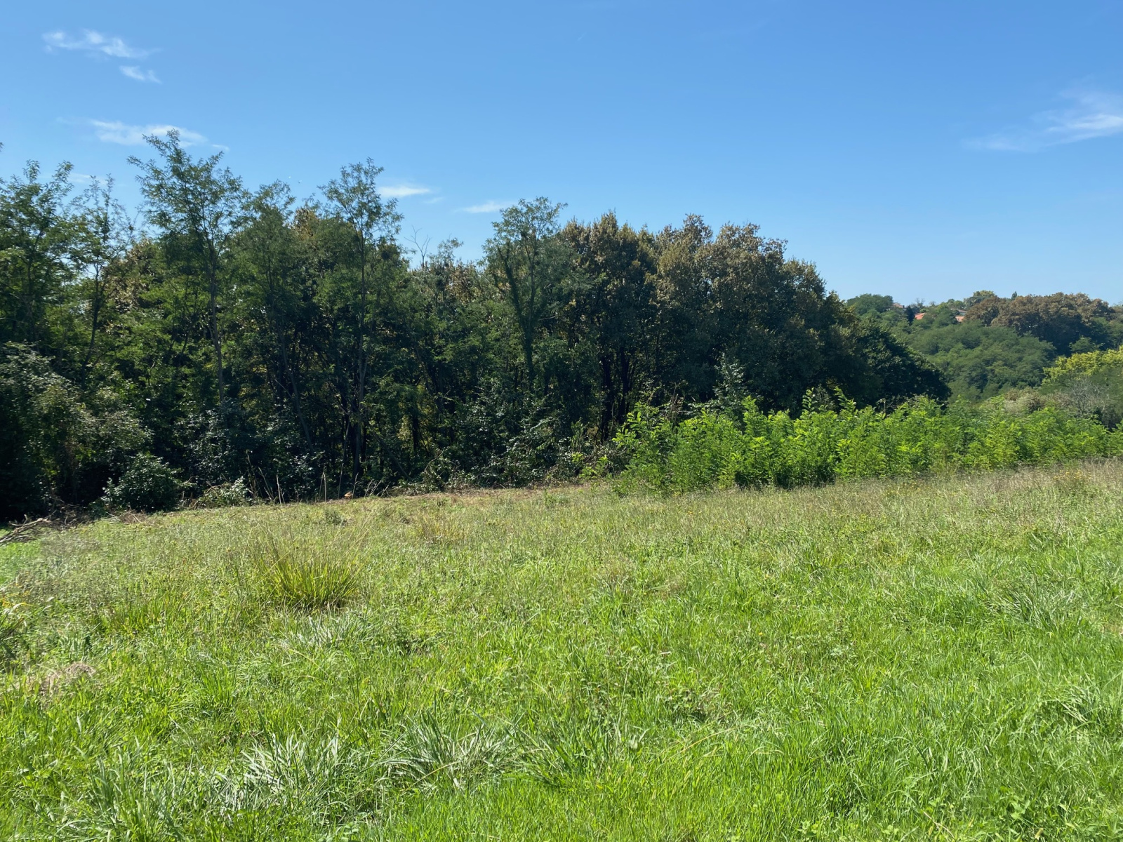 Image_2, Terrain à batir, Montfort-en-Chalosse, ref :4055