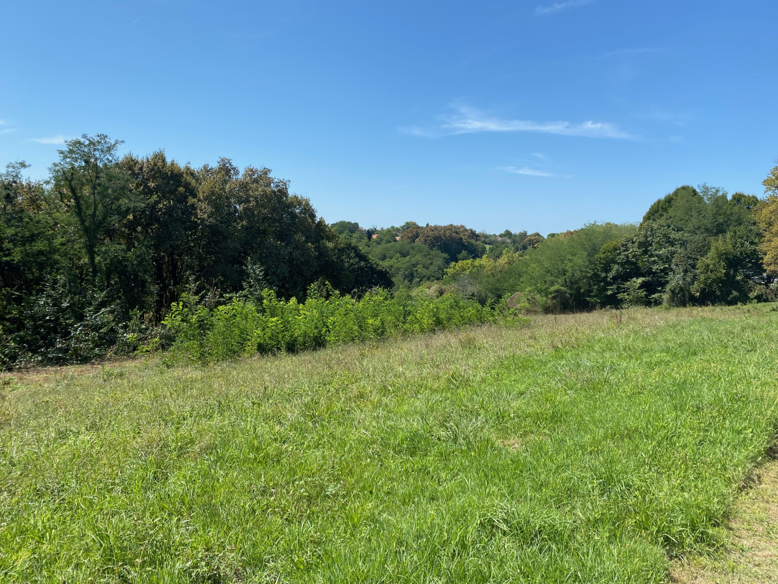 Image_1, Terrain à batir, Montfort-en-Chalosse, ref :4055