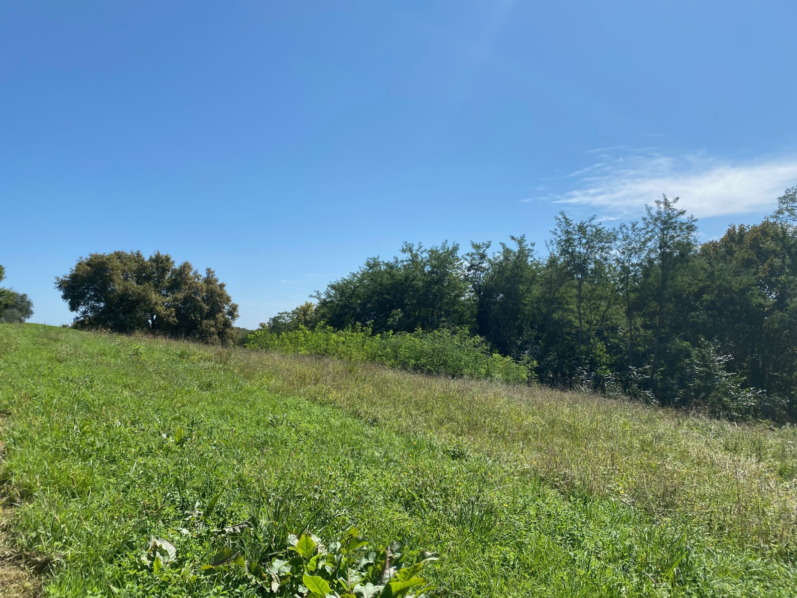 Image_4, Terrain à batir, Montfort-en-Chalosse, ref :4055