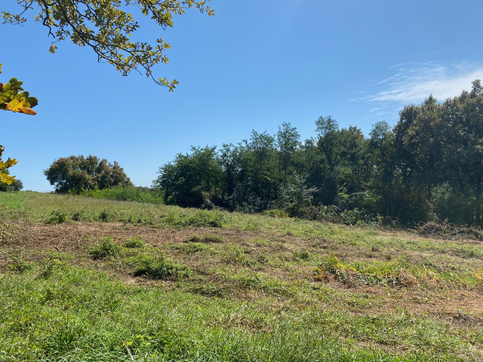 Image_3, Terrain à batir, Montfort-en-Chalosse, ref :4055