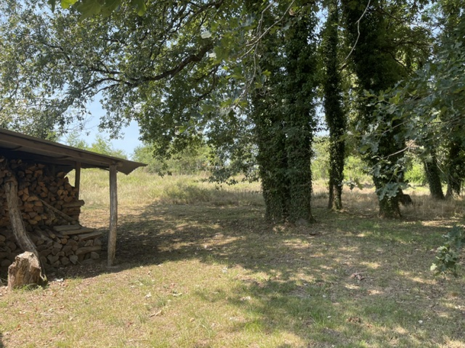 Image_3, Maison, Montfort-en-Chalosse, ref :4123