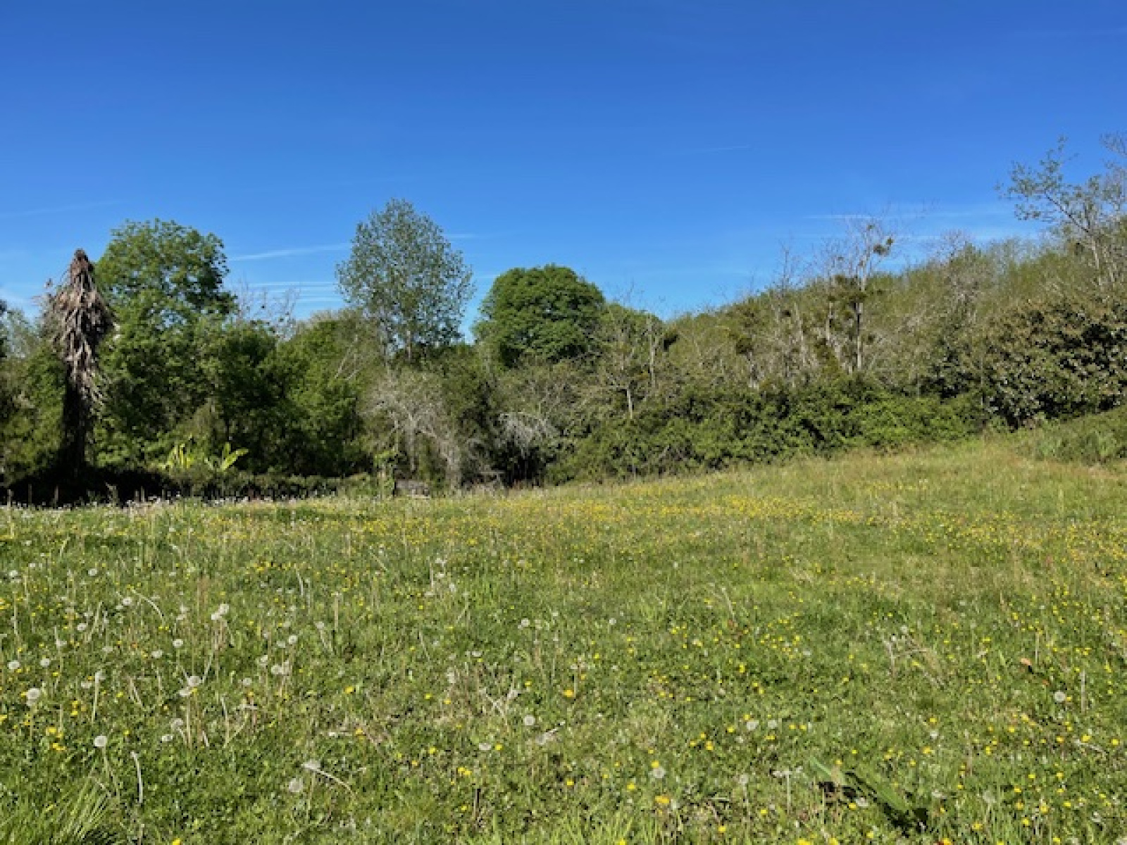 Image_3, Terrain, Montfort-en-Chalosse, ref :4090