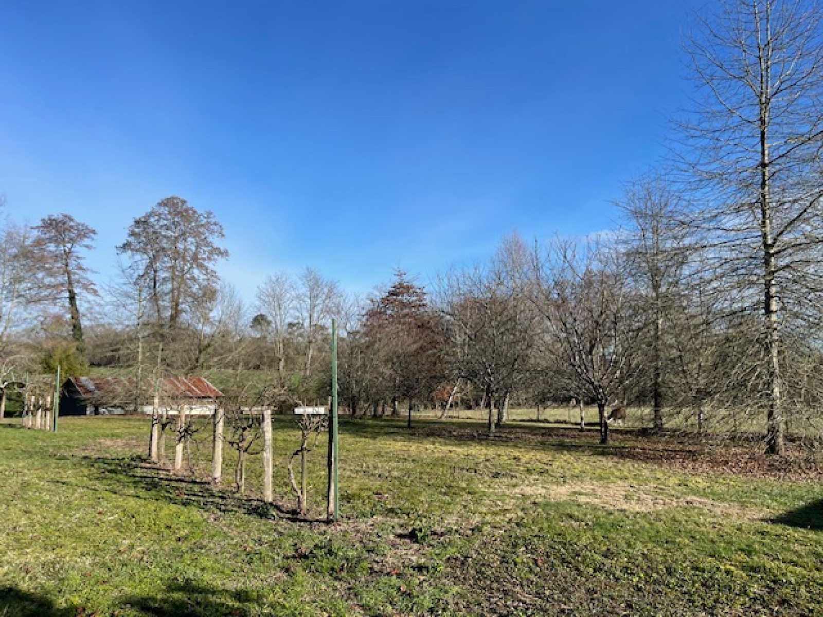 Image_21, Propriete, Sort-en-Chalosse, ref :4076