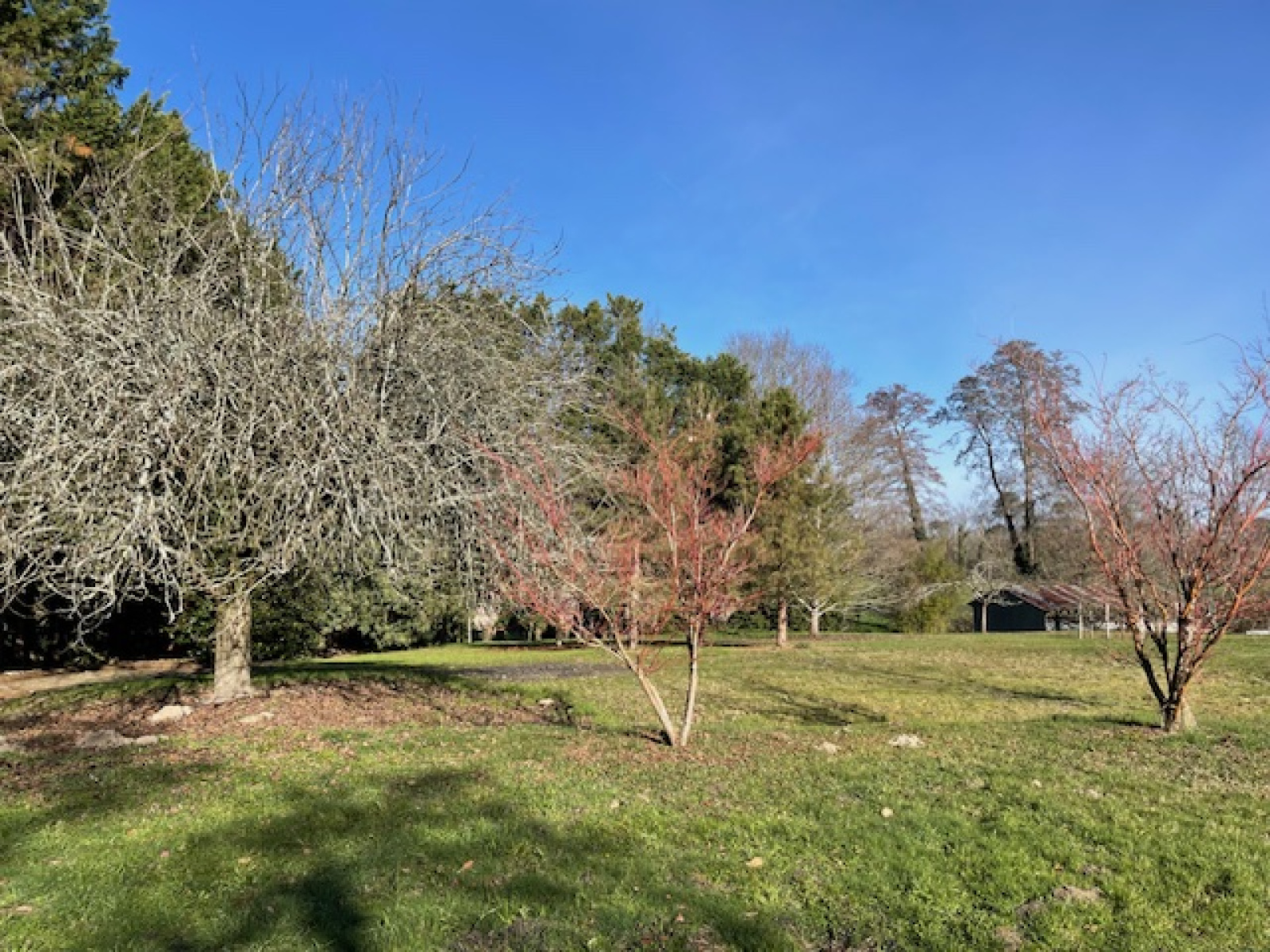 Image_22, Propriete, Sort-en-Chalosse, ref :4076