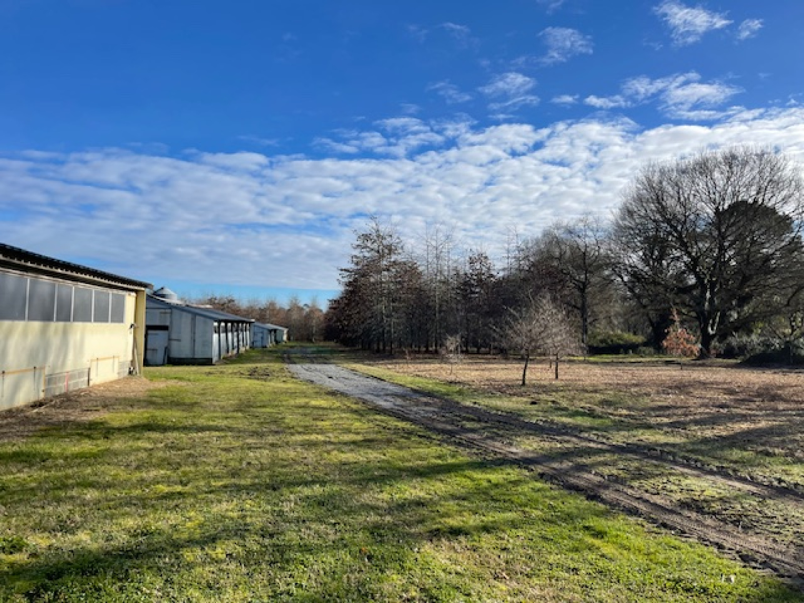 Image_19, Propriete, Sort-en-Chalosse, ref :4076