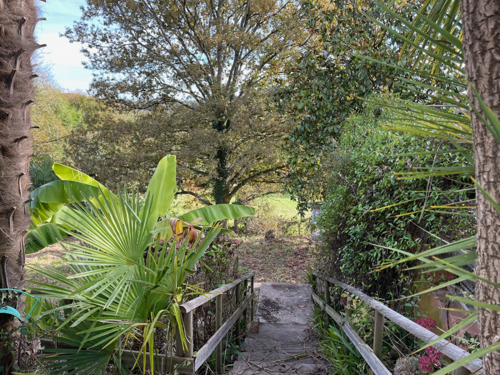 Image_6, Maison, Montfort-en-Chalosse, ref :DM428