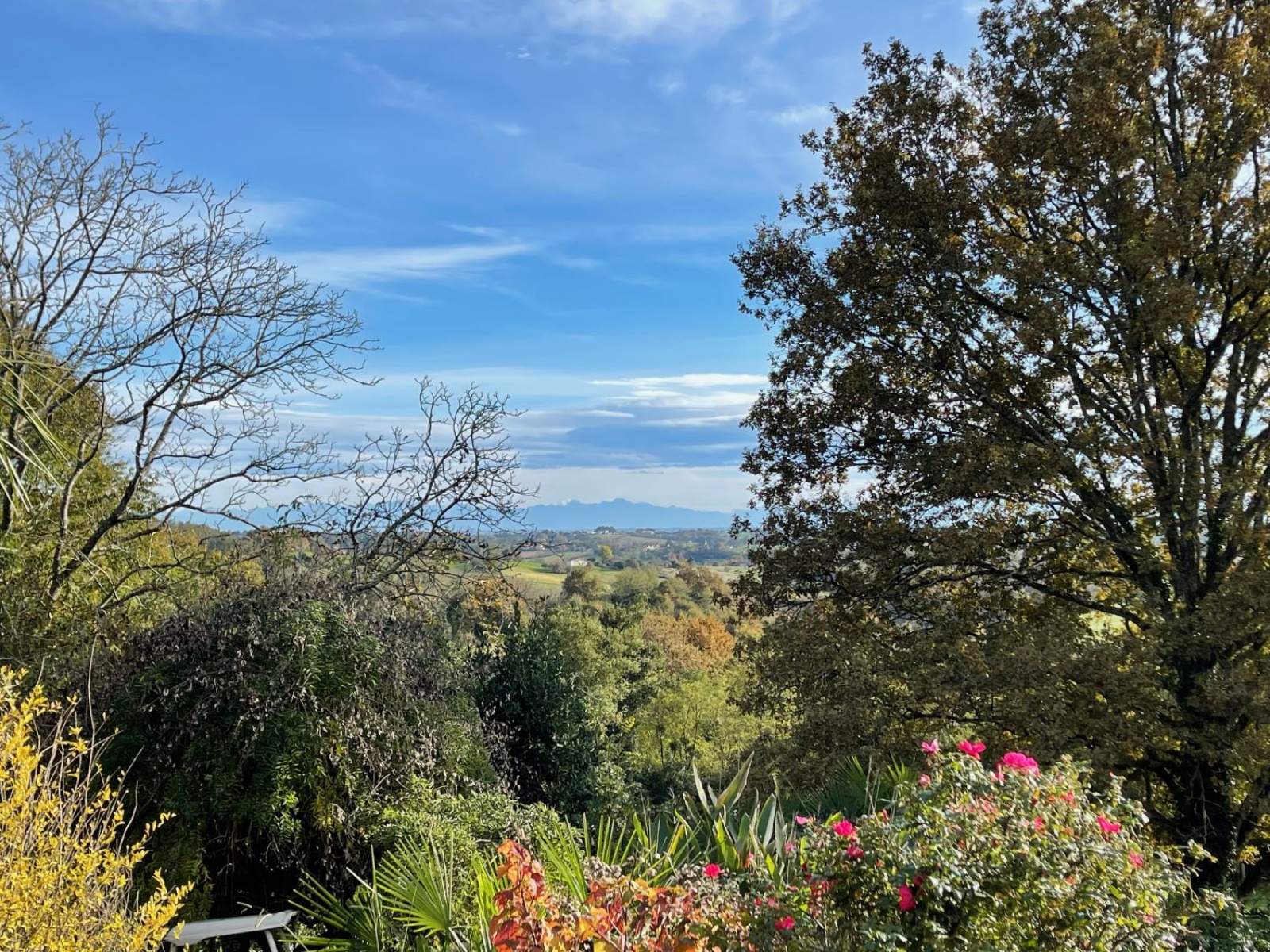 Image_8, Maison, Montfort-en-Chalosse, ref :DM428