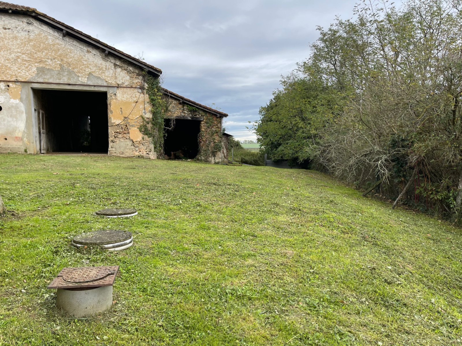 Image_23, Ferme, Poyartin, ref :4060