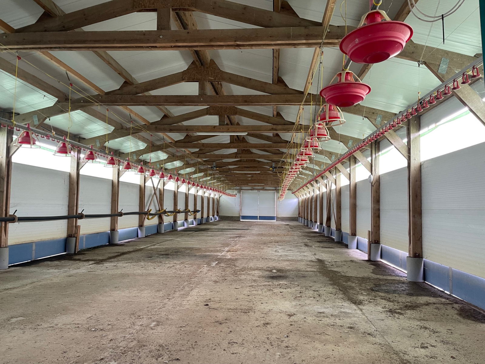 Image_8, Ferme, Poyartin, ref :4060