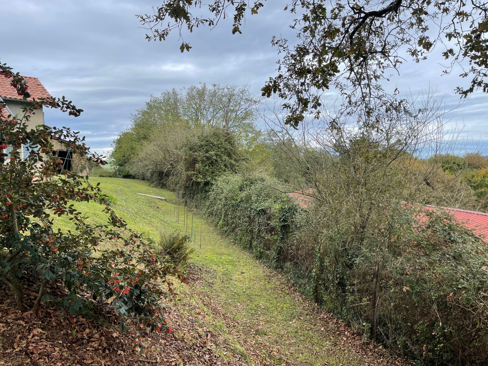 Image_20, Ferme, Poyartin, ref :4060