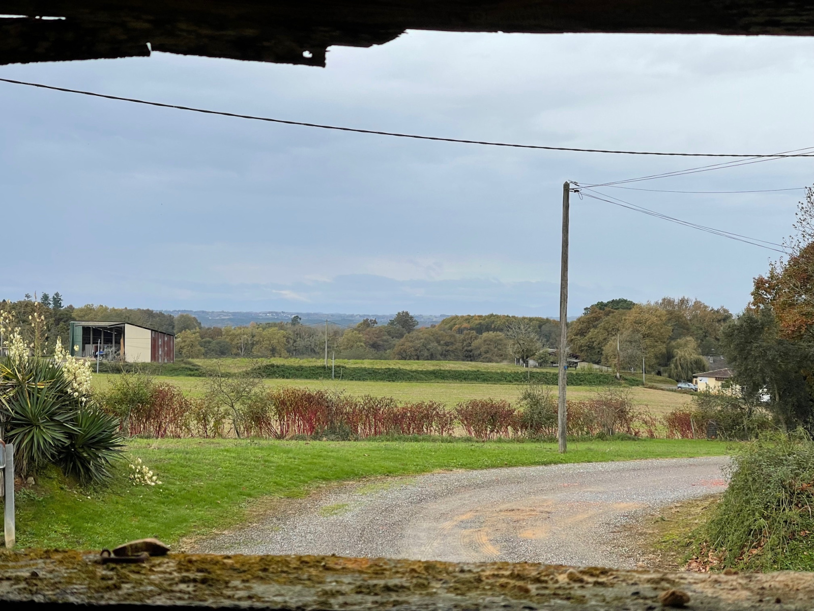 Image_4, Ferme, Poyartin, ref :4060