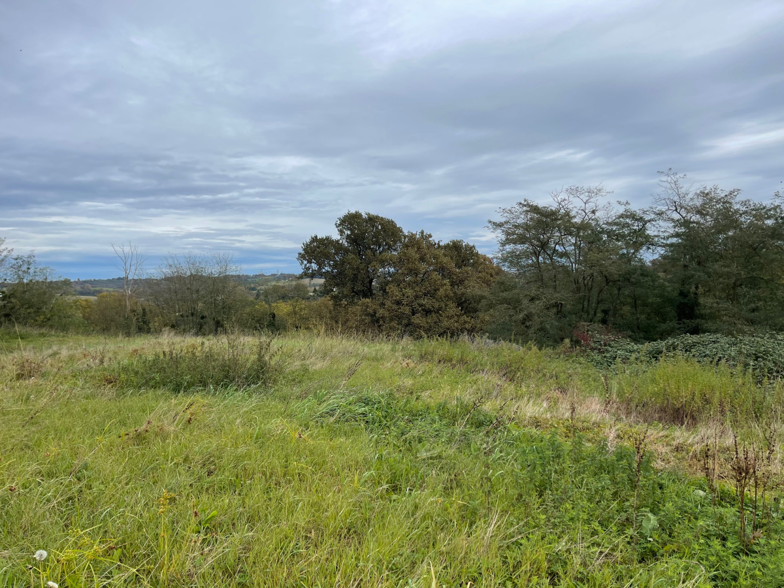 Image_18, Ferme, Poyartin, ref :4060