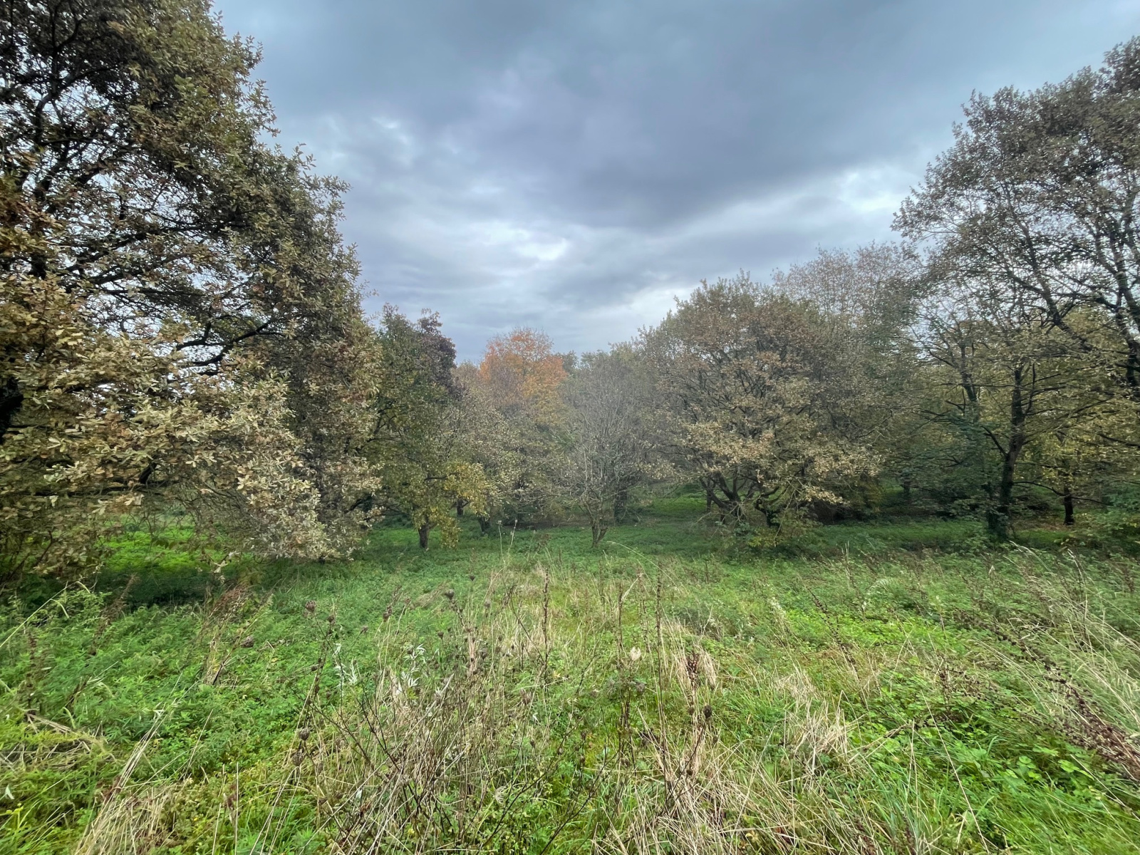 Image_5, Ferme, Poyartin, ref :4060