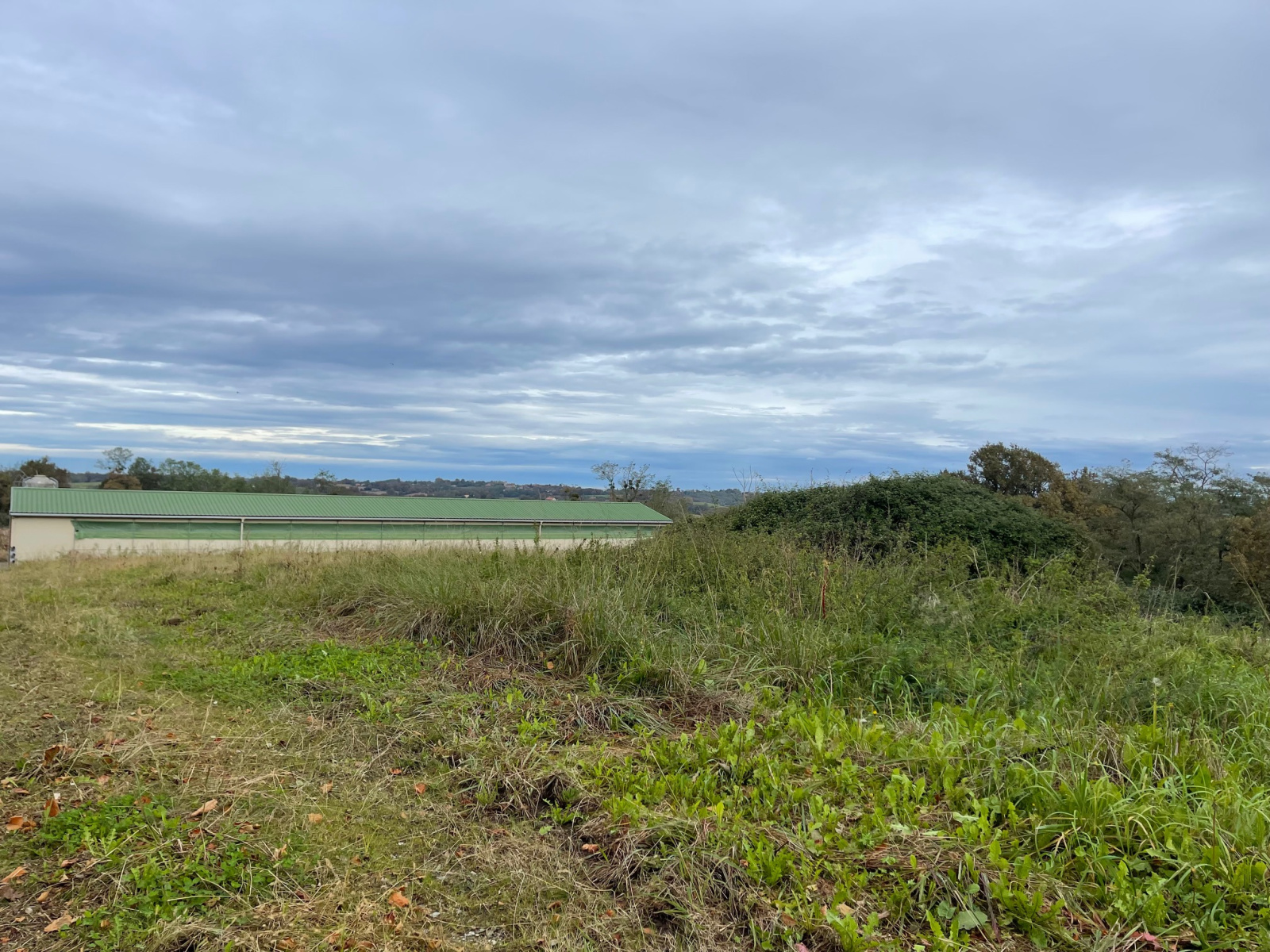 Image_7, Ferme, Poyartin, ref :4060