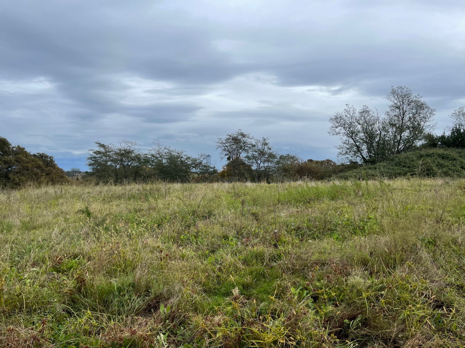 Image_6, Ferme, Poyartin, ref :4060