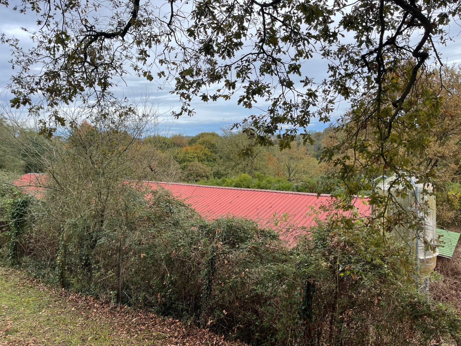 Image_19, Ferme, Poyartin, ref :4060