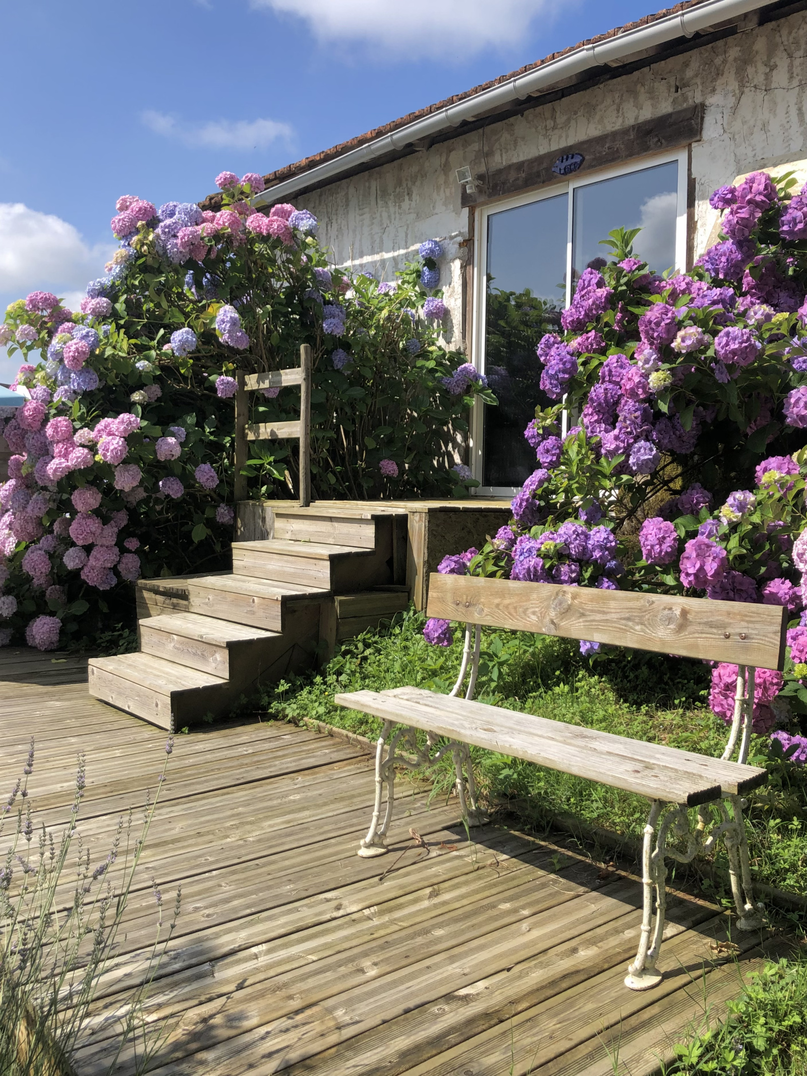 Image_13, Maison, Montfort-en-Chalosse, ref :3900