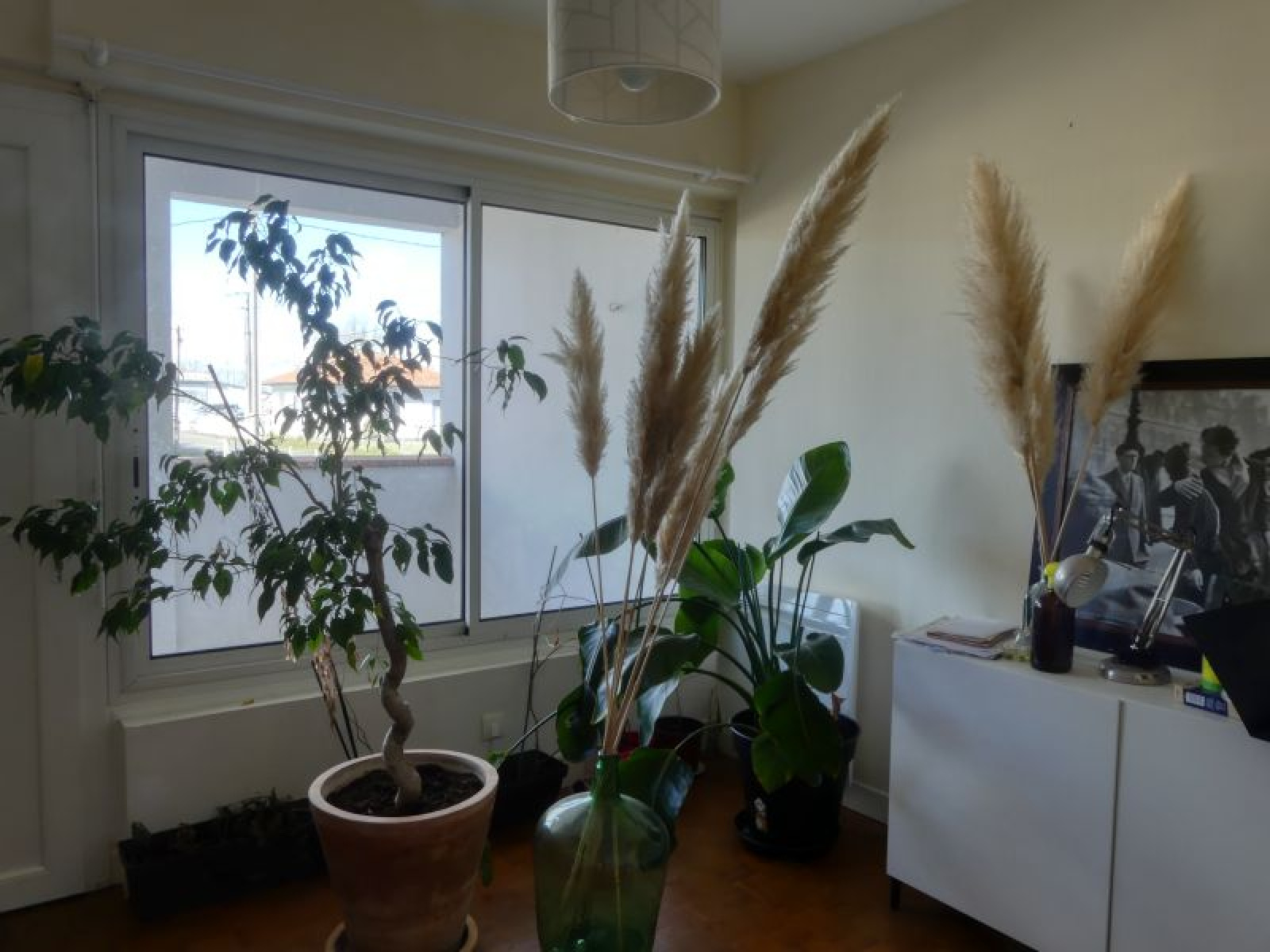 Image_7, Appartement, Montfort-en-Chalosse, ref :3998