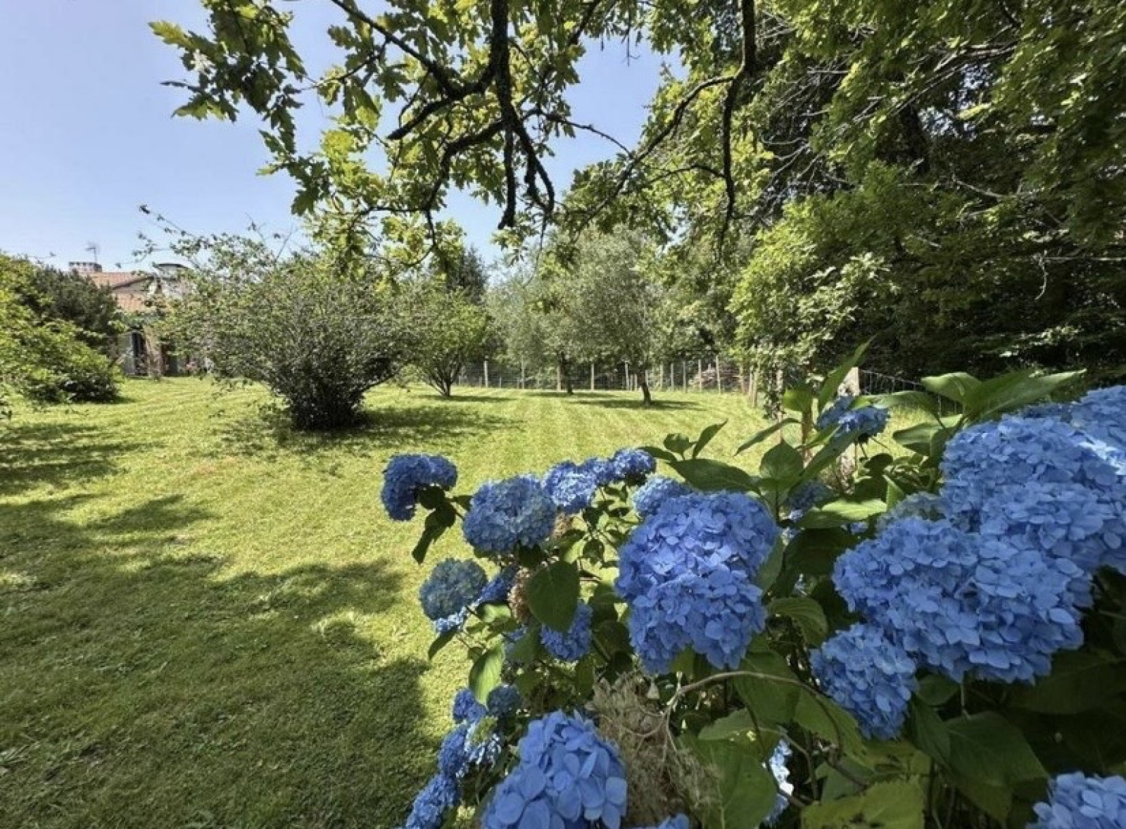 Image_3, Propriete, Poyartin, ref :4077