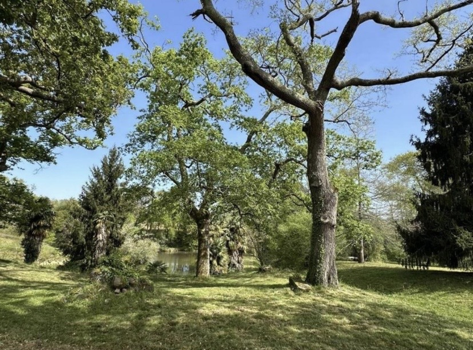 Image_16, Propriete, Poyartin, ref :4077