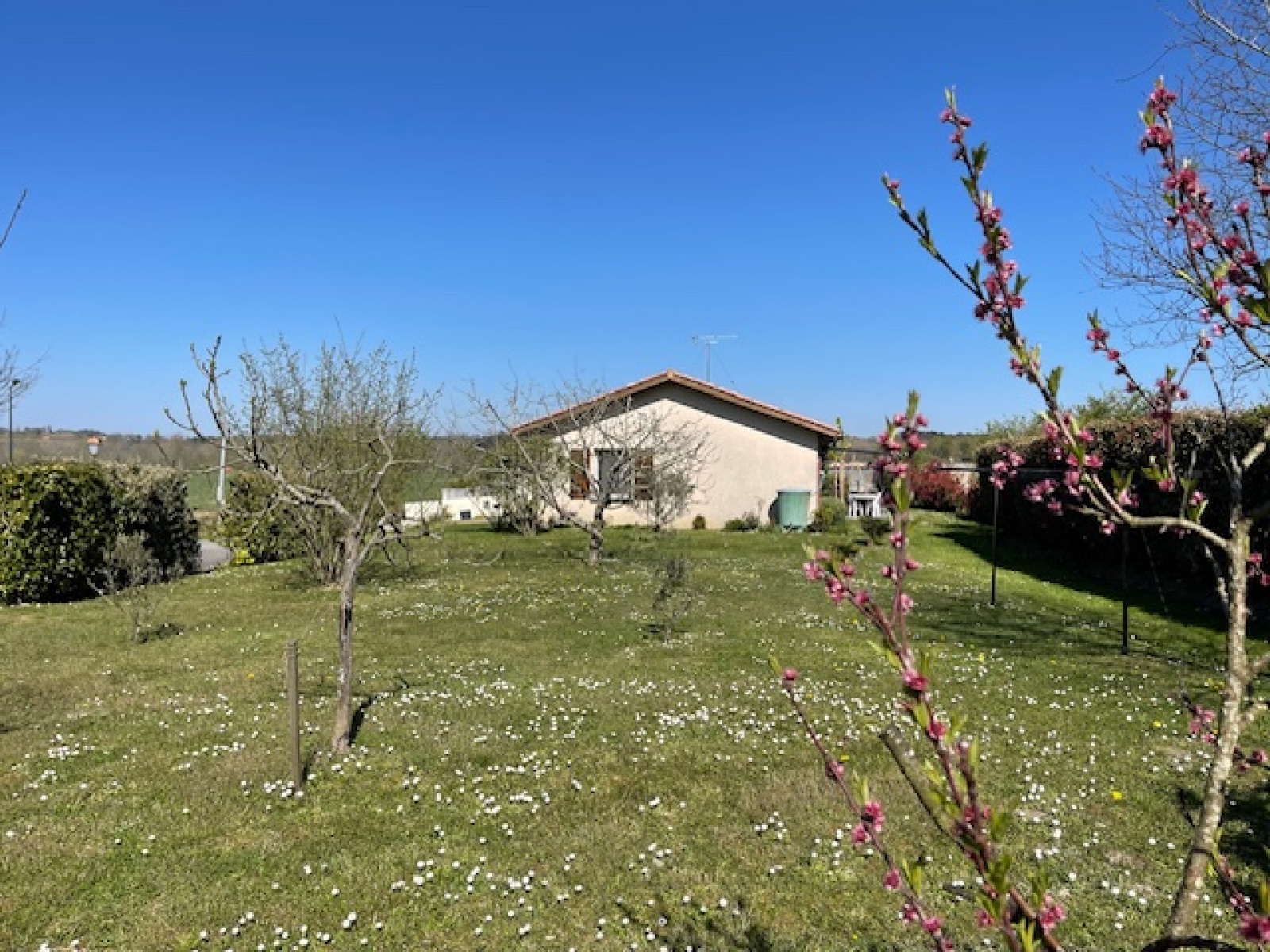 Image_16, Maison, Caupenne, ref :4086