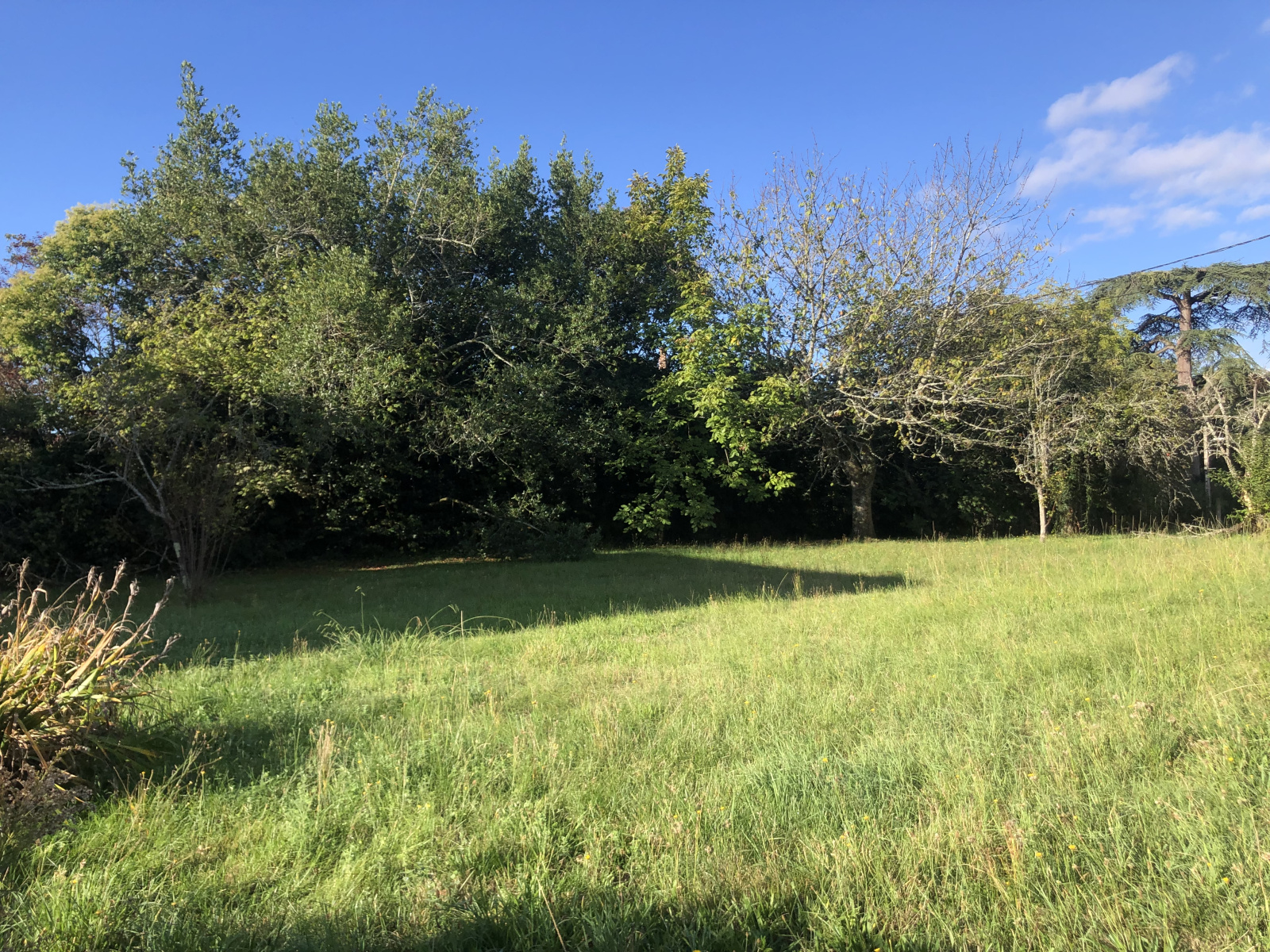 Image_2, Terrain, Montfort-en-Chalosse, ref :3923