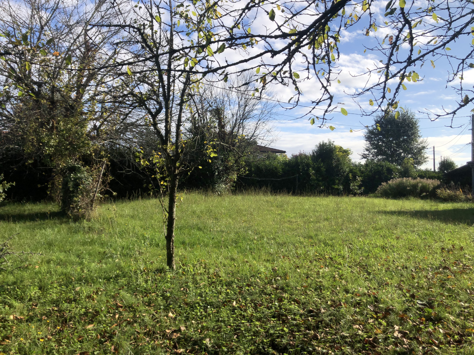 Image_3, Terrain, Montfort-en-Chalosse, ref :3923