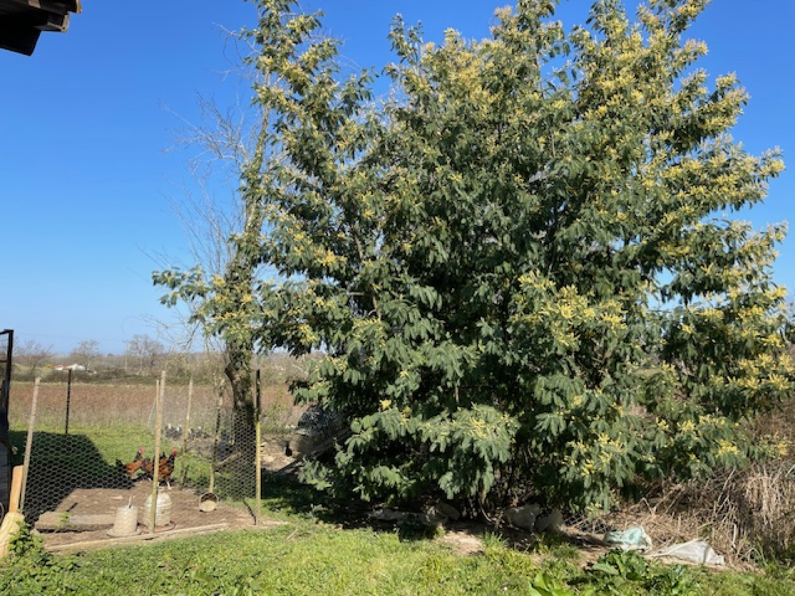 Image_14, Maison, Gamarde-les-Bains, ref :4012