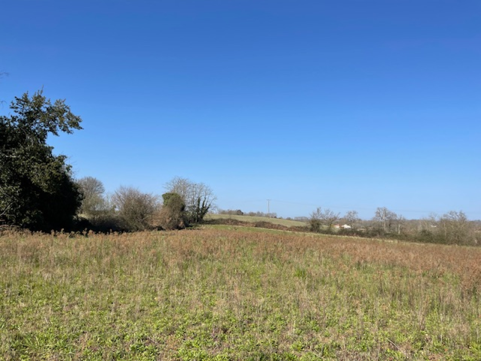 Image_16, Maison, Gamarde-les-Bains, ref :4012