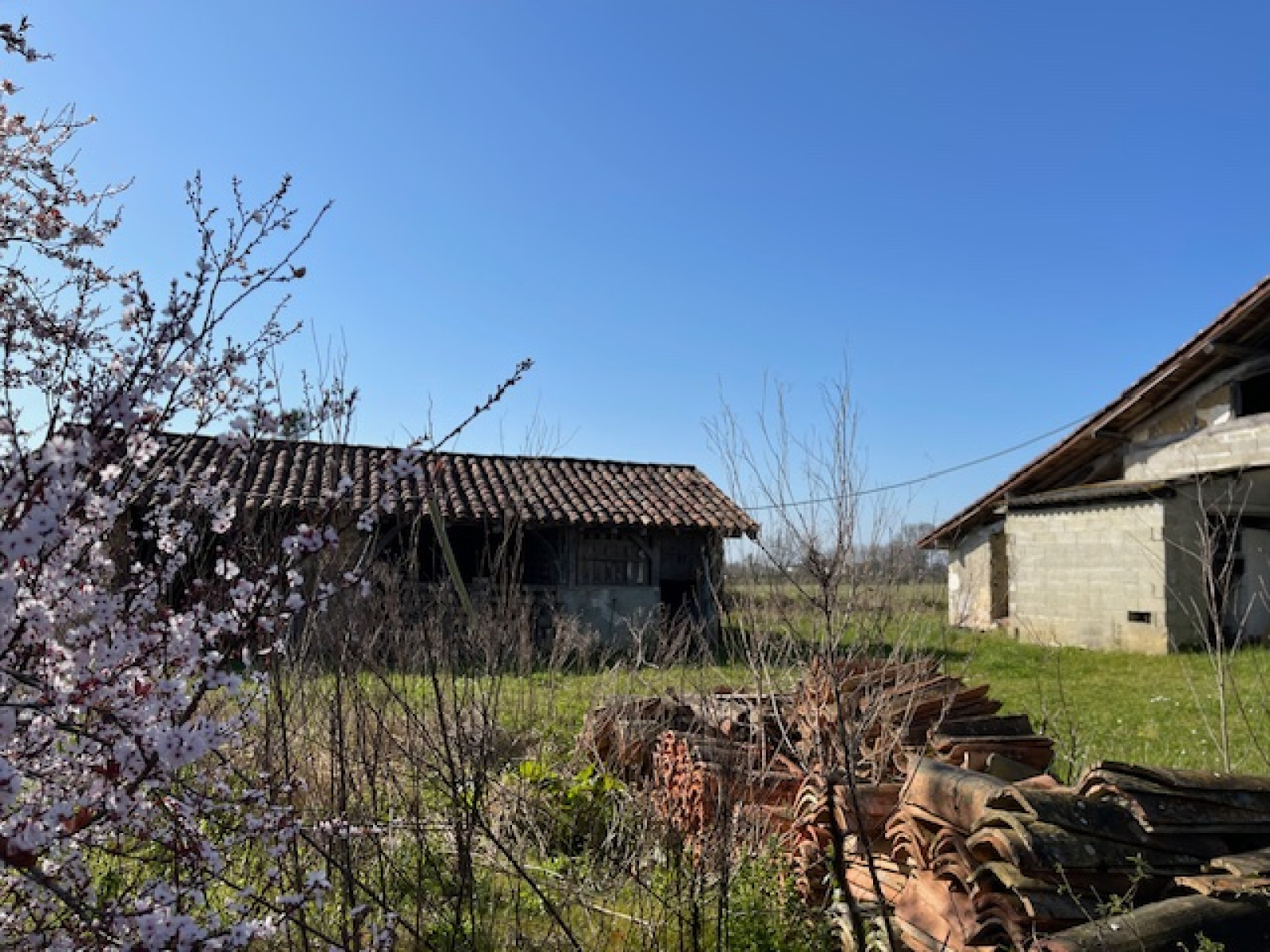 Image_15, Maison, Gamarde-les-Bains, ref :4012