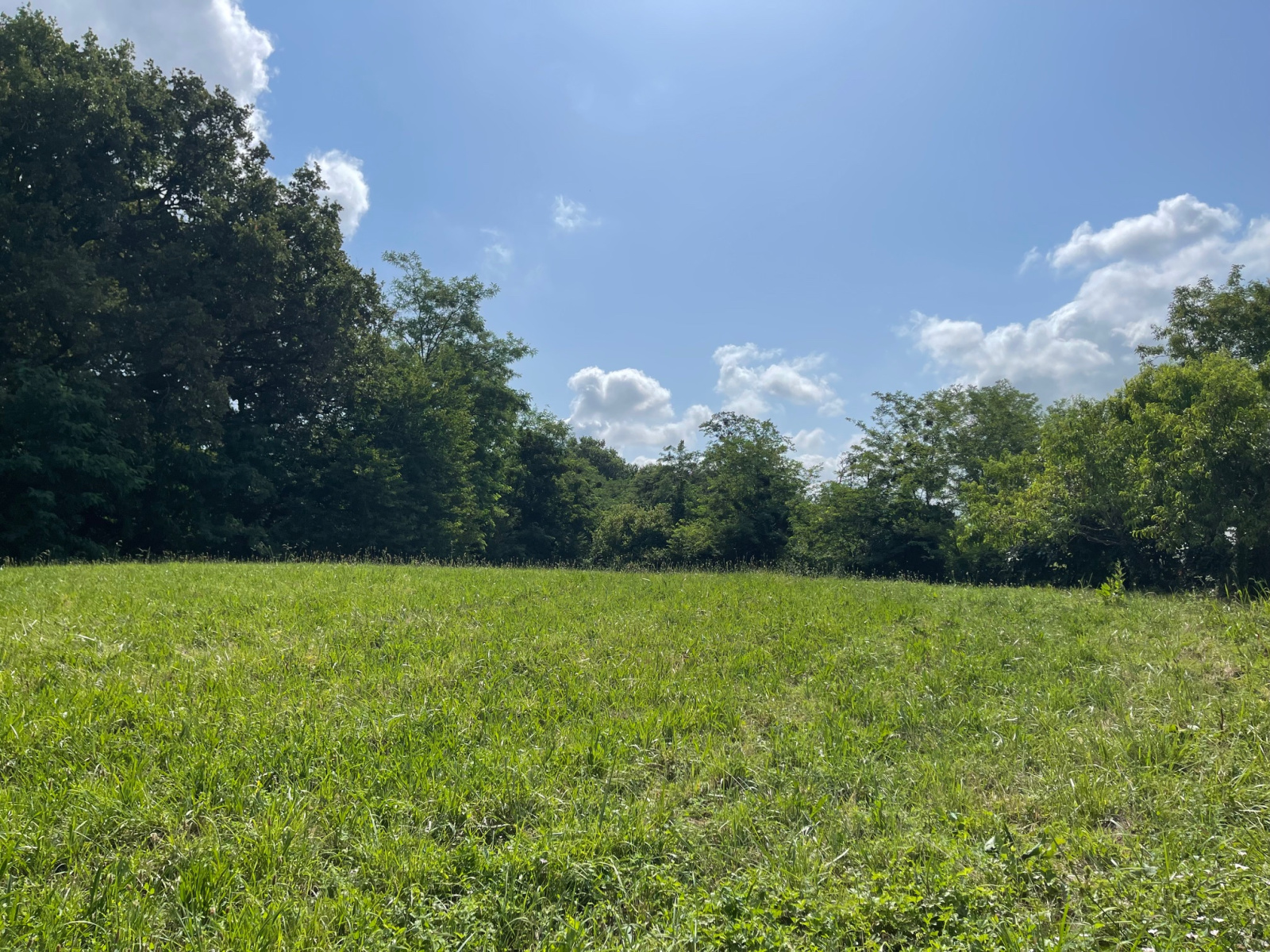 Image_26, Maison, Castelnau-Chalosse, ref :4040