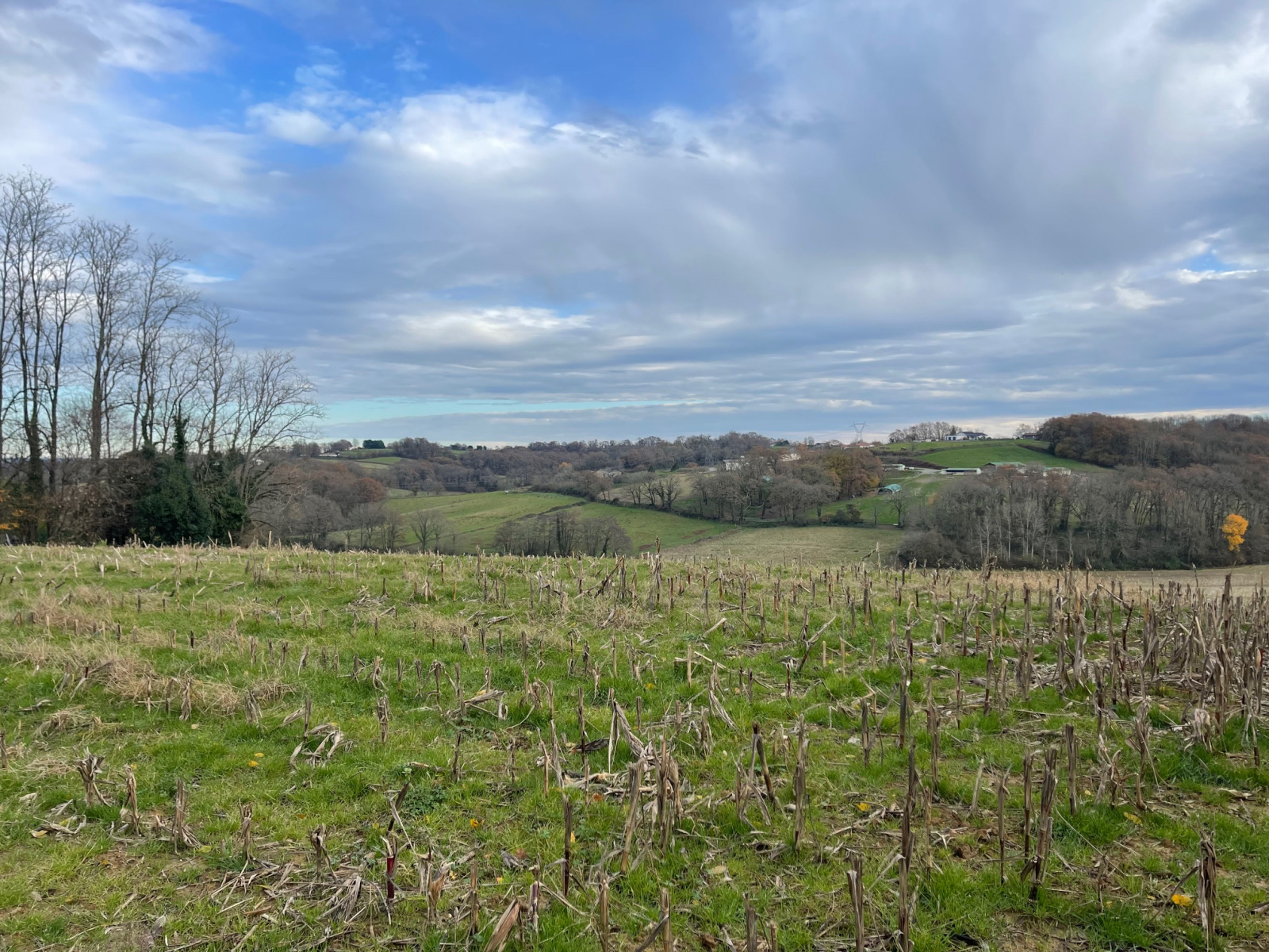 Image_7, Maison, Baigts, ref :4071