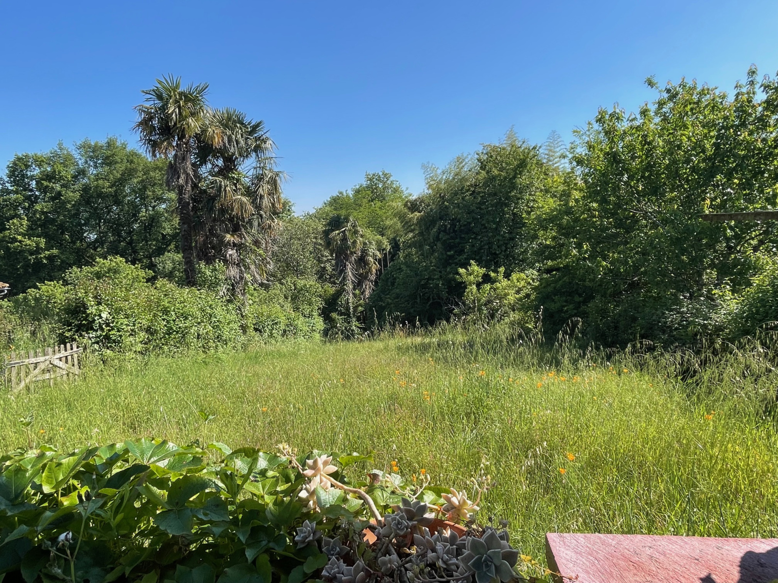 Image_14, Maison de village, Montfort-en-Chalosse, ref :4027