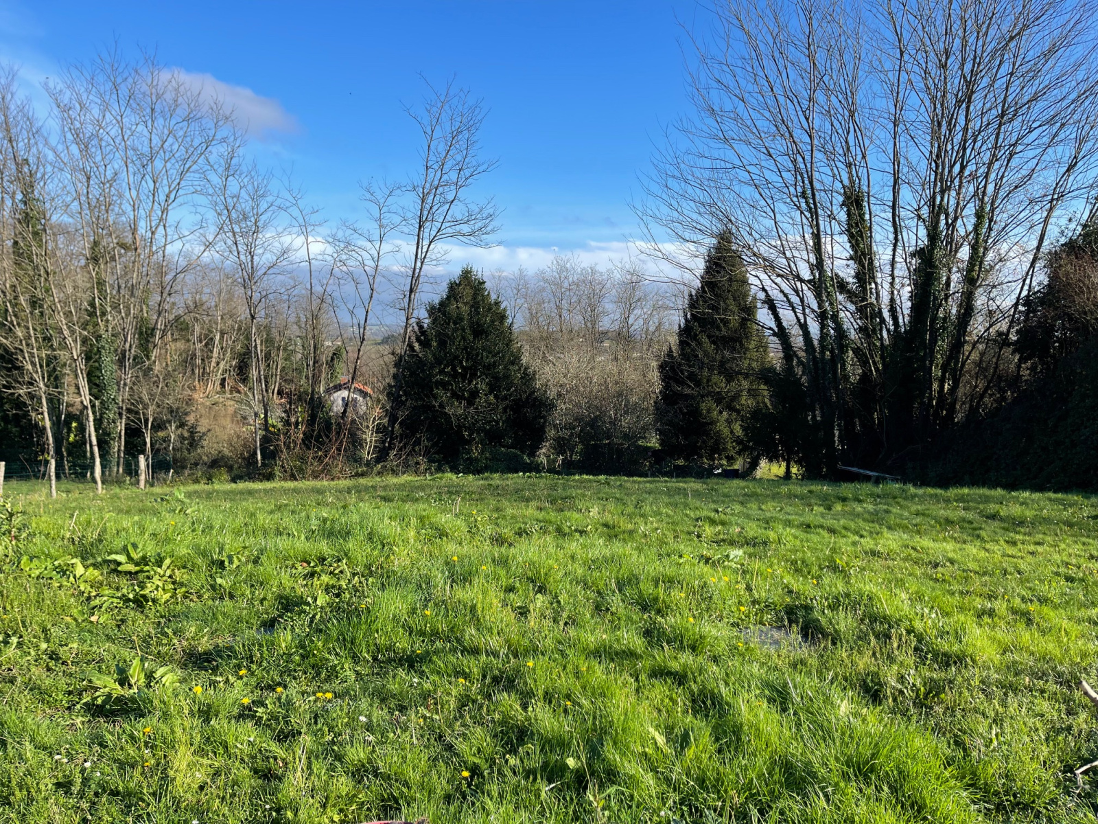 Image_12, Maison, Montfort-en-Chalosse, ref :4074