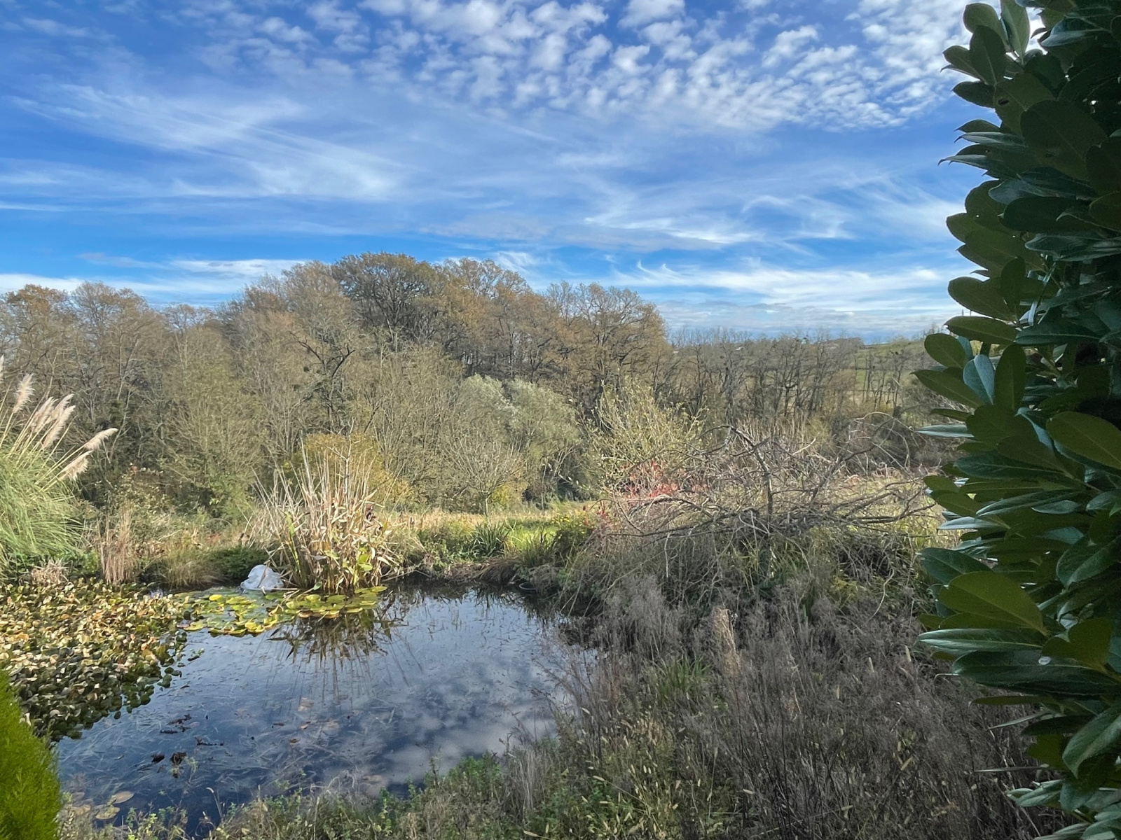 Image_2, Maison, Baigts, ref :4070