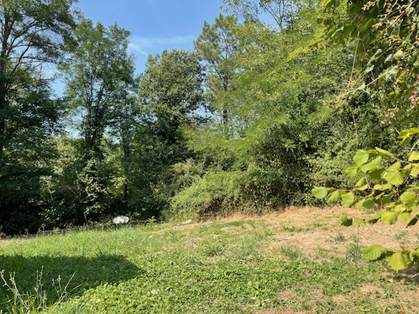 Image_11, Maison, Montfort-en-Chalosse, ref :4051