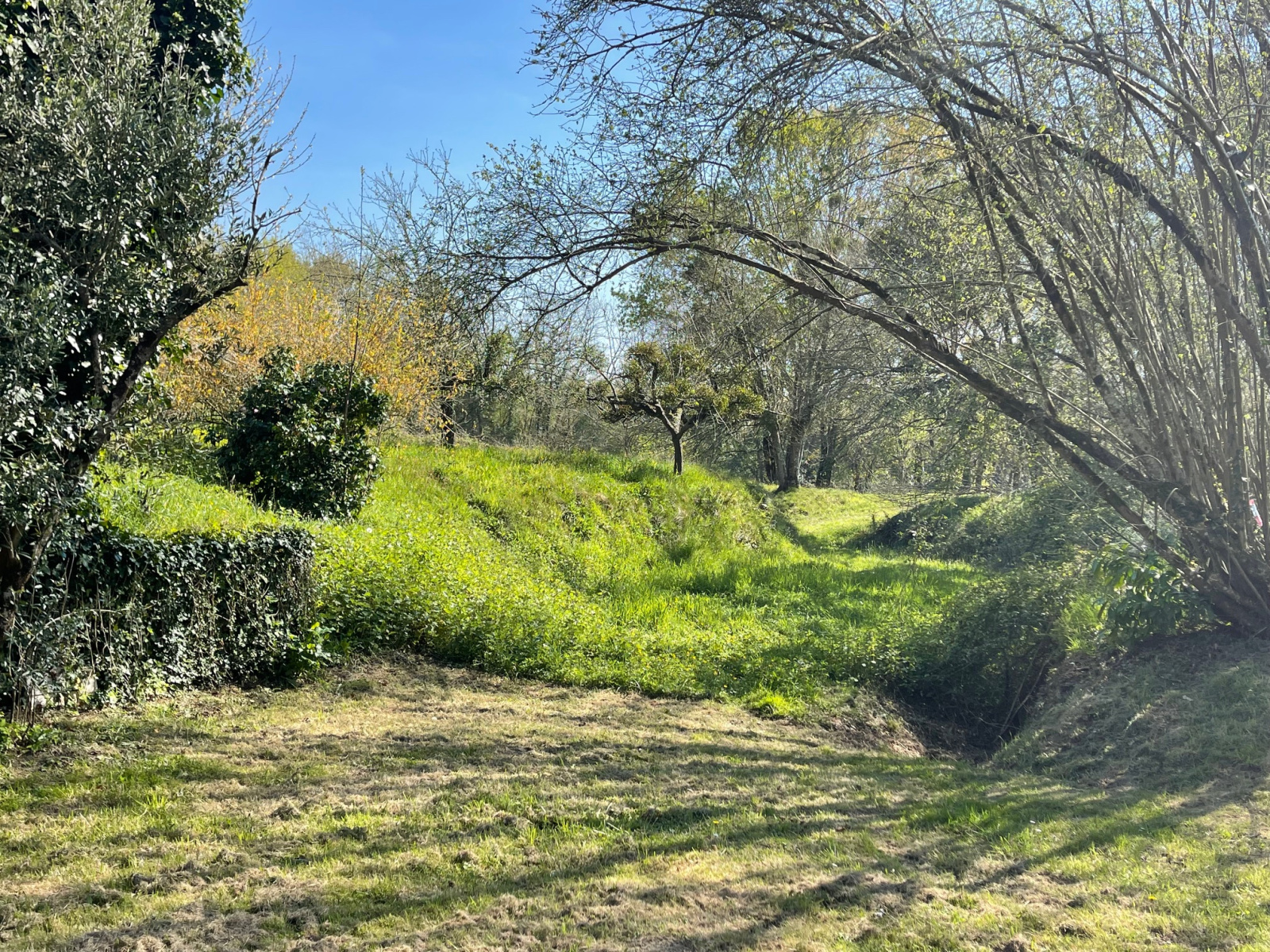 Image_22, Maison, Gamarde-les-Bains, ref :4094